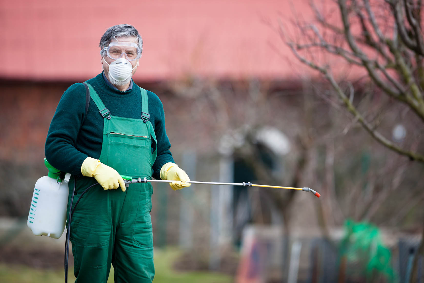 insecticides and pesticides used on fraser firs