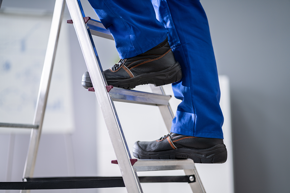 Ladders and Stepladders for Managers Ladder Association (Remote