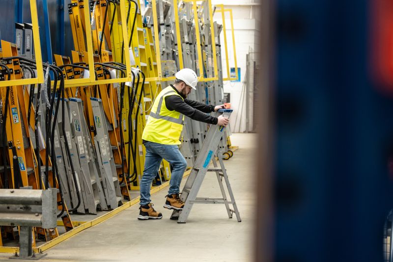 Ladders and Steps Training
